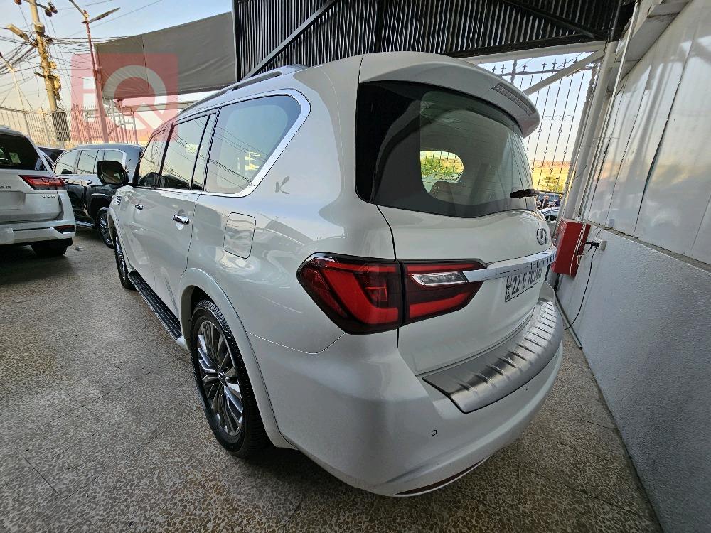 ئينفنتي QX80